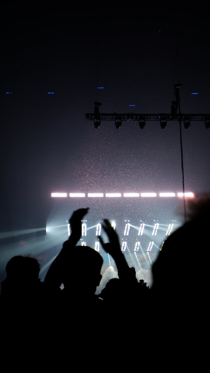 Silhouetted crowd with hands raised at a vibrant concert in Île-de-France, France.
